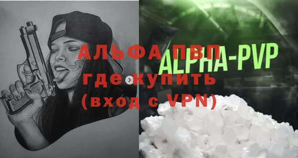 прущие грибы Верхний Тагил
