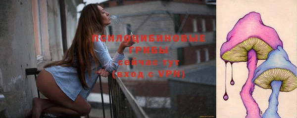 твердый Бронницы
