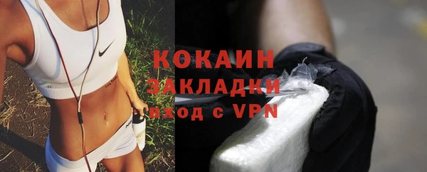 прущие грибы Верхний Тагил