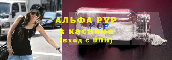 прущие грибы Верхний Тагил