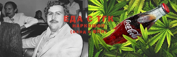 прущие грибы Верхний Тагил
