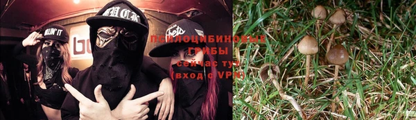 твердый Бронницы