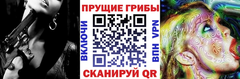 Галлюциногенные грибы MAGIC MUSHROOMS  хочу наркоту  Грязовец 